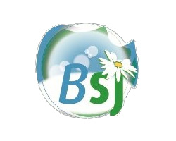 Logo Blanchisserie BSJ